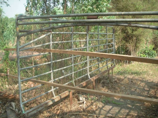 ขายครับ