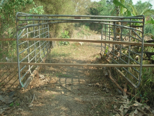 ขายครับ