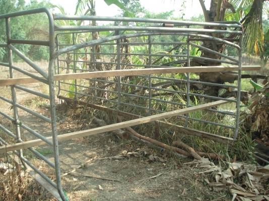 ขายครับ