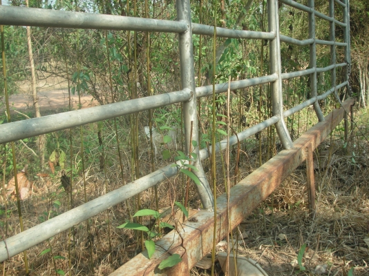 ขายครับ