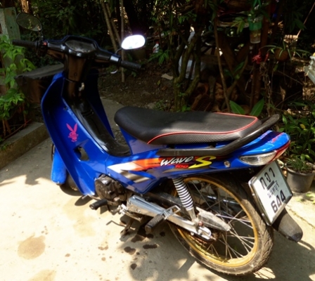 waveปี 45 ทะเ่บีียนไม่ขาด ชุดโอนครบ