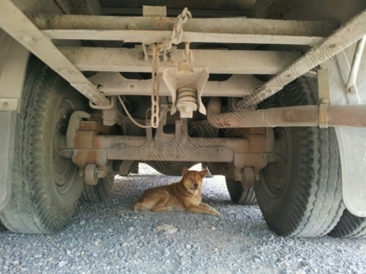 รถบรรทุก 10 ล้อตู้เย็น ยี่ห้อ HINO รุ่น FL1MNKA