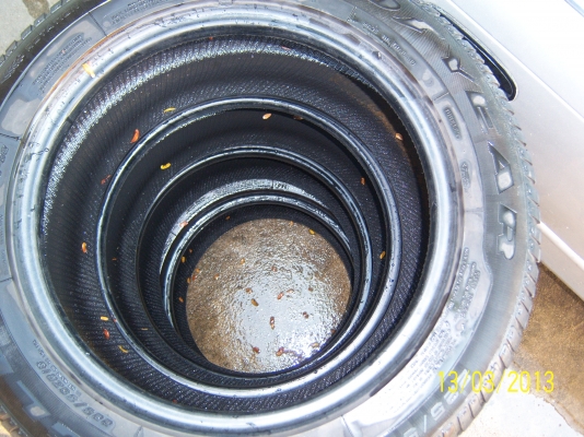 ยางขอบ 16 Goodyear 225 55 R16 4 เส้น