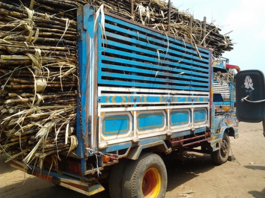 ***ขายแล้วครับขอบคุณ Truck2hand ขาย แต๋น6ล้อดั๊ม ขนาดกลาง เครื่องKUBOTA ET110 11แรง เกียร์110 คานหน้า110 คัสซีหน้า5 เฟืองท้าย100 สโลว์จิ๊ปฟอร์ด กระบอกดั๊ม 2.5ตัน กระบะเหล็ก กว้าง1.8ม.ยาว3.0ม.สูง1.6ม. จัดอ้อยได้ 6-7 ตัน พร้อมใช้ พร้อมลุยงาน ราคาต่อรองได้คร