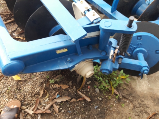 ขายผาน7 cmtสภาพสวยใบเต็ม