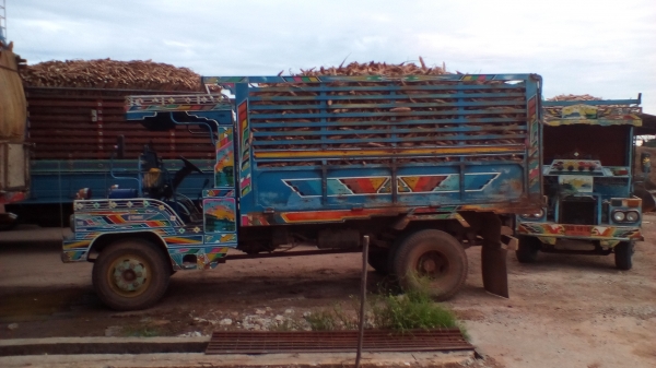 ขายรถอีแต๋นดั้ม