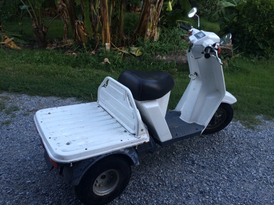 ขาย Honda Gyro Up มือสอง สภาพดี 14900 ต่อรองได้