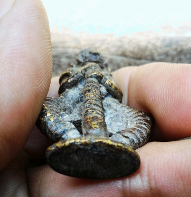 ท้าวเวสสุวรรณหล่อโบราณ พิมพ์แปลก ปิดทองแท้ สวยแปลกเก่าคราบเดิม