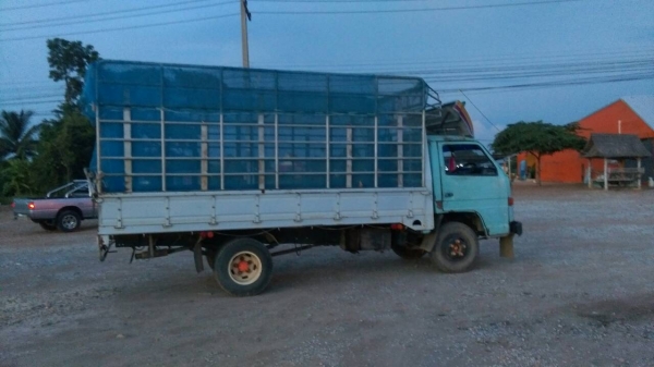 ขายหกล้อks100แรงสภาพสวยๆพร้อมใช้ครับไม่ดั้ม(ปรับลดราคา150000)ด่วนๆนะครับ