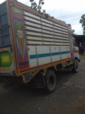 HINO 6 ล้อ ดั้มพ์ คอกเกษตร เครื่อง WO4D 117 แรง