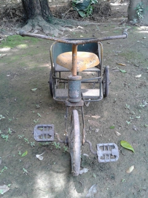 ขายสามล้อเด็ก ขายสามล้อเด็ก