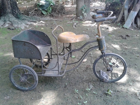 ขายสามล้อเด็ก