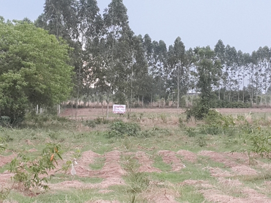 ที่ดินเปล่า ที่ดินเปล่า