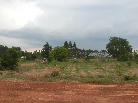 ที่ดินเปล่า ที่ดินเปล่า