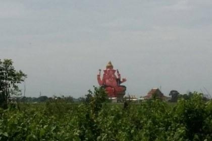 ขายที่ดินที่โพรงอากาศ