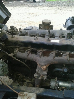 ขาย165แรง ยาว5เมตร เบรคทิฟฟี คัชชีสวย ขาย165แรง ยาว5เมตร เบรคทิฟฟี คัชชีสวย