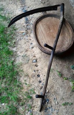 เคียวใหญ่ยักษ์โบราณ ใช้เกี่ยวข้าว เกี่ยวหญ้า เป็นของสะสมมีชิ้นเดียว