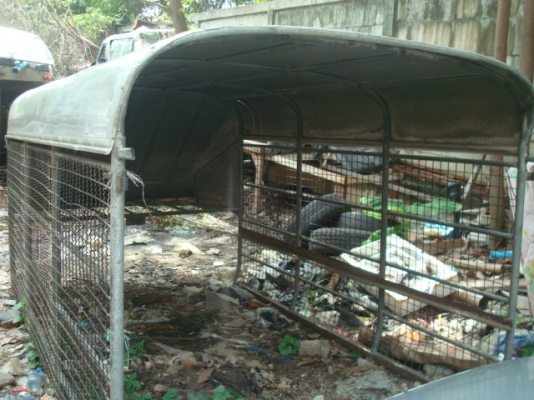 หลังคาตอนเดียว หลังคาตอนเดียว