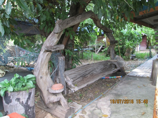 ขายครับ  ราคาถูกๆครับ  ไม้ทั้งต้นครับ  สนใจ 081-585-6957