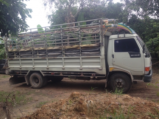 ขาย HINO ปี 38 สภาพพร้อมใช้งาน ขาย HINO ปี 38 สภาพพร้อมใช้งาน