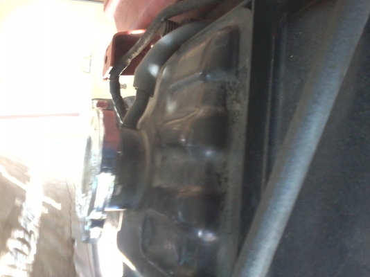 ยันมาร์ 115  จ้าวโลก