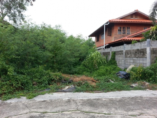 ขายที่ดินราคาถูก50ตร.วาในซอยหทัยราษฏร์ 37