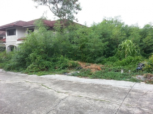 ขายที่ดินราคาถูก50ตร.วาในซอยหทัยราษฏร์ 37 ขายที่ดินราคาถูก50ตร.วาในซอยหทัยราษฏร์ 37