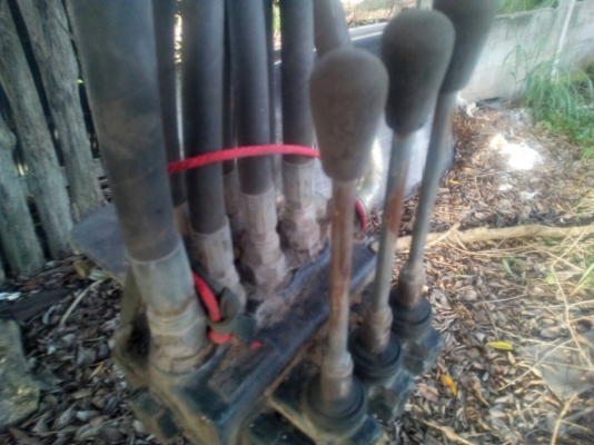 ฝากขายคีบยังใหม่ๆครับสีเดิมๆ ใช้งานเพียง 3 ปี ฝากขายคีบยังใหม่ๆครับสีเดิมๆ ใช้งานเพียง 3 ปี