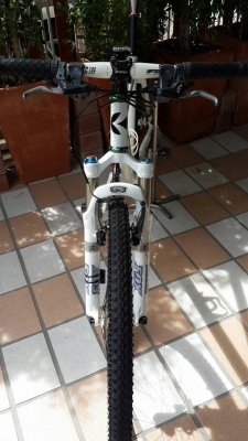 ขายเสือภูเขา