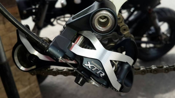 ขายเสือภูเขา