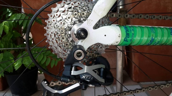 ขายเสือภูเขา