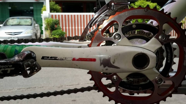 ขายเสือภูเขา