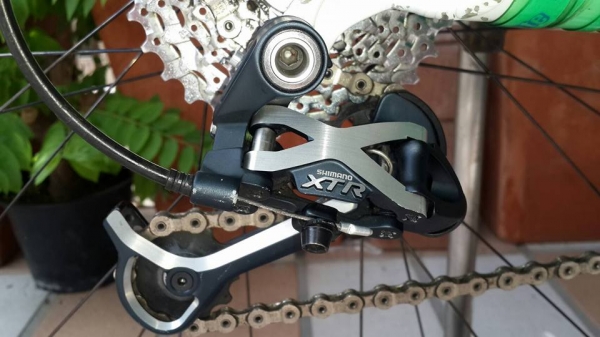 ขายเสือภูเขา