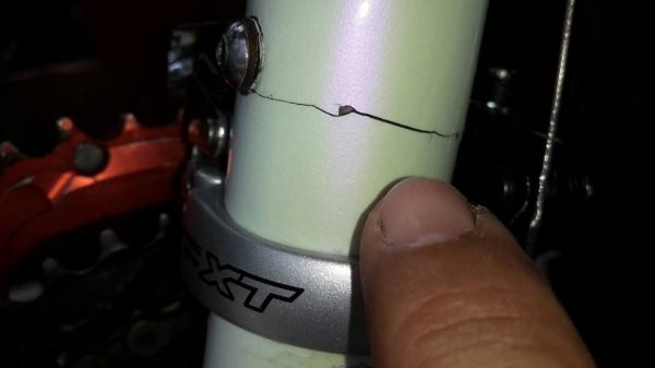 ขายเสือภูเขา