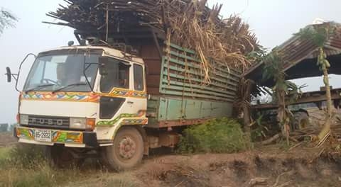 รถเกี่ยวข้าวพร้อมเทรนเลอร์