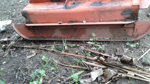 ขายด่วน