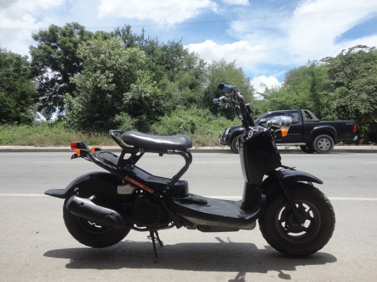 ขาย honda zoomer สวยไ