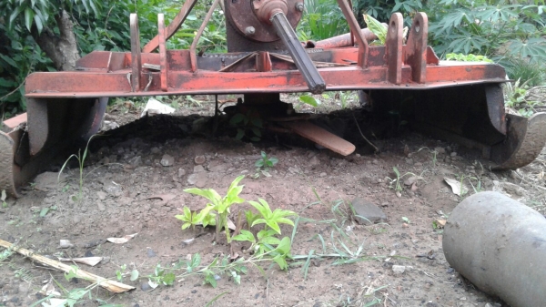 ซื้อขายแล้ว