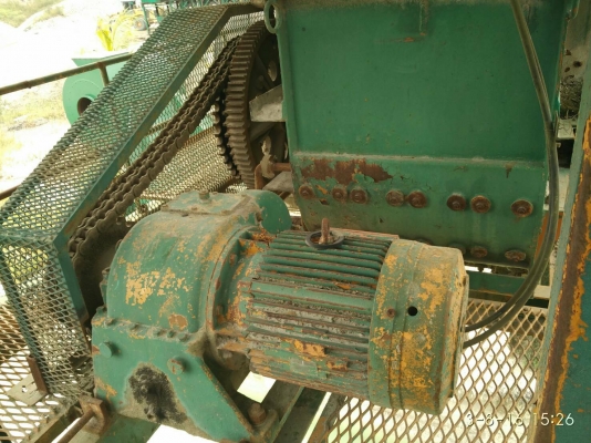 แพล้นยาง แพล้นยาง