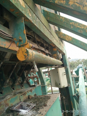 แพล้นยาง แพล้นยาง