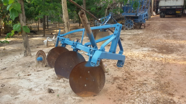 ขายหางสาม