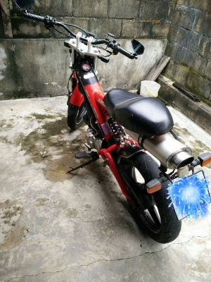 MadAss รถเยอรมัน เอกสารครบ