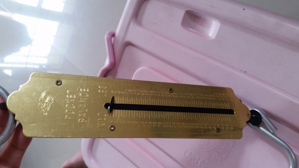 ขายตาชั่งแขวโบราณ