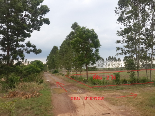 ที่ดินเปล่า พนมสารคาม