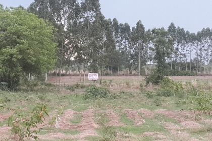 ที่ดินเปล่า พนมสารคาม ที่ดินเปล่า พนมสารคาม