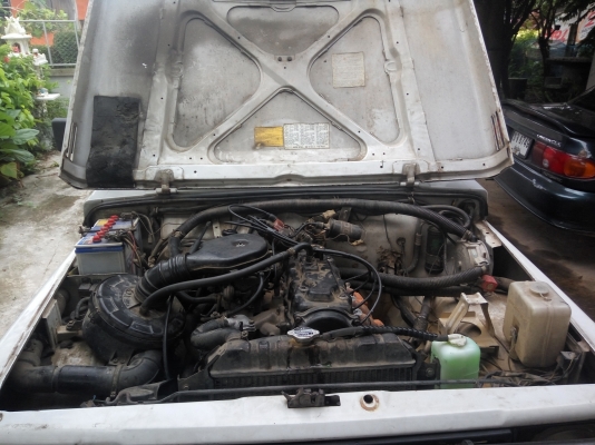 คาริเบียน