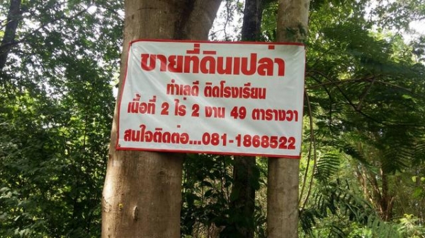 ขายที่ดินเปล่า ข้างโรงเรียนชุมชนบ้านมั่ว ต.ทุ่งงาม อ.เสริมงาม จ.ลำปาง