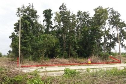 ที่ดินสวยๆ แถวโพรงอากาศ อ.บางน้ำเปรี้ยว จ.ฉะเชิงเทรา