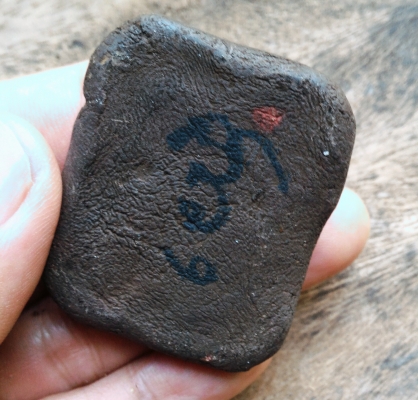 ครูบาวัง เครื่องรางมหาสเน่ห์ ม้าเสพนาง เนื้อว่านปิดทองแท้ จานยันต์หลัง