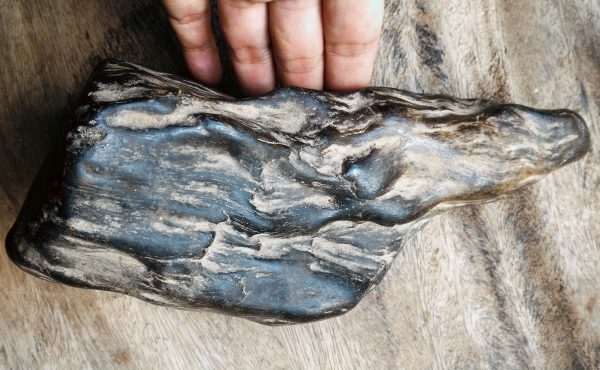 ไม้กลายเป็นหิน ยุคโบราณสุดๆ หนักพอสมควร ลวดลายไม้เดิมๆ ธรรมชาติสร้างสรรค์ มีเม็ดแร่ฝังอยู่หนึ่งเม็ดเกิดขึ้นเอง สวยแปลกน่าสะสม